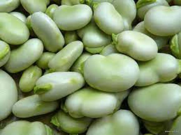 BÓB 1 KG